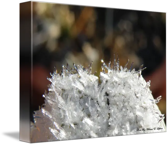  Ice Crystals By Captor Shared Frost Png Ice Crystal Png