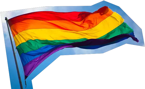  Rainbow Flag Transparent Background Png Lgbt Pride Month Rainbow Flag Transparent