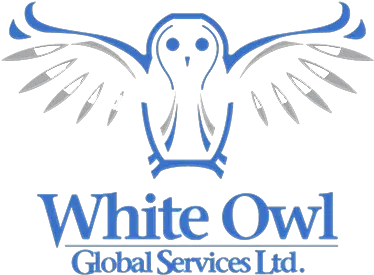  White Bird Of Prey Png Owl Logo