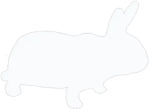  Member Store Morabbit Animal Figure Png Cute Rabbit Icon