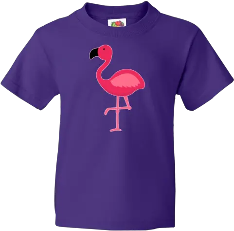  Flamingo Bird Youth T Greater Flamingo Png Flamingo Logo