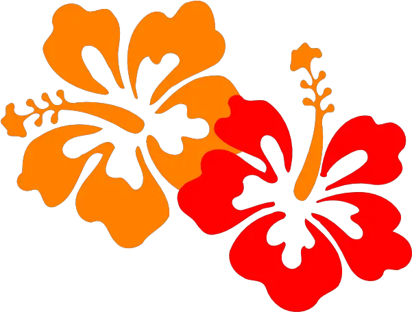  Hibiscus Clipart Png In This 13 Piece Svg Hawaii Clipart Hibiscus Icon