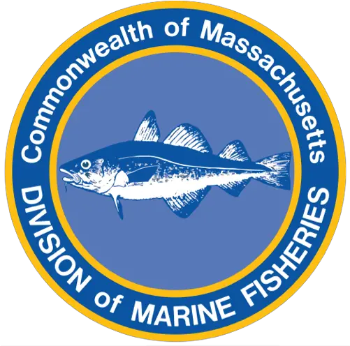  Massachusetts U2014 Native Fish Coalition Fish Products Png Small Fish School Icon