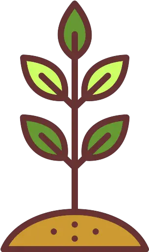  Sprout Vector Svg Icon Flower Sprout Png Sprout Png