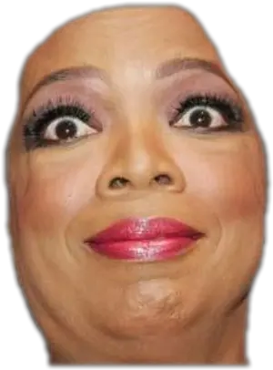  Download Personoprah Winfrey Head Oprah Funny Png Oprah Png