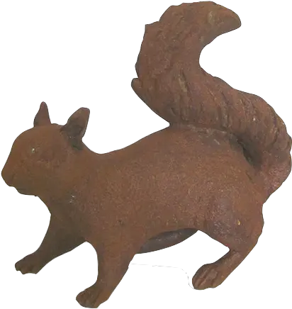  Cast Iron Squirrel Fox Squirrel Png Squirrel Png