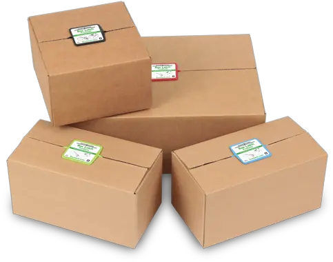  Introduction Item Products Latch Products Reduction Apply Carton Png Cardboard Box Transparent