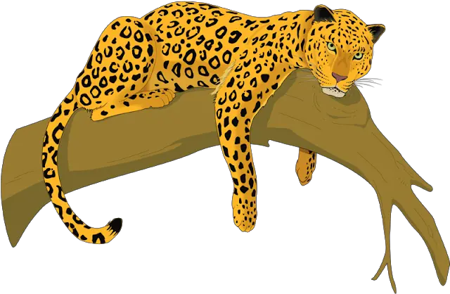  Pictures Of Leopards In Trees Leopardcheetah Free Png Jaguar Clipart Leopard Png