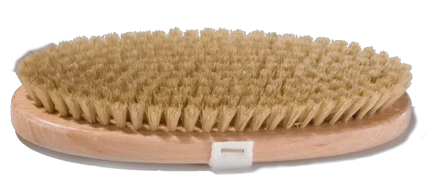  Scrubbing Brush Made Of Vegetable Hair Mugue Scrub Brush Png Brush Line Png