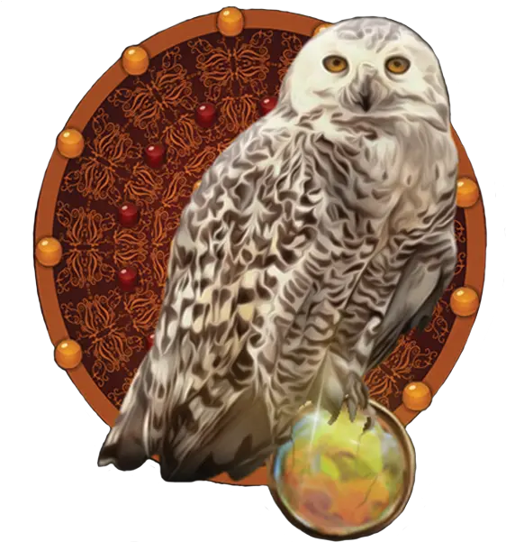  Annie Parnell Snowy Owl Png Owl Logo