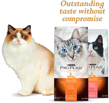  Pro Plan Cats Specialized Nutrition Concentrado Proplan Gato Png Cat Whiskers Png