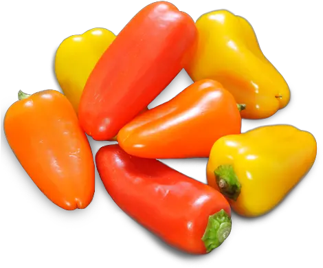  Mini Sweet Bell Peppers Transparent Habanero Chili Png Bell Pepper Png