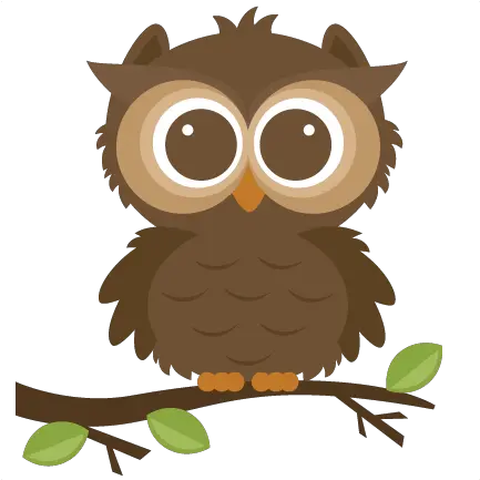  Owl Transparent Owl Clipart Png Owl Transparent