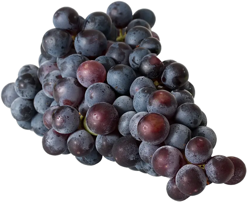  200 Free Table Grapes U0026 Images Pixabay Uvas Negras Png Grapes Transparent Background