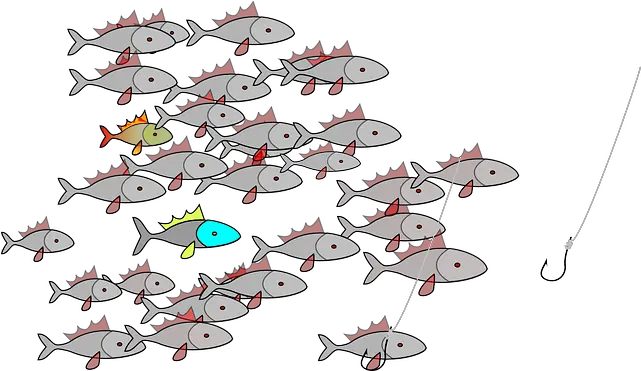  School Of Fish Cartoon Clip Art Library Dessin Banc De Poisson Png School Of Fish Png