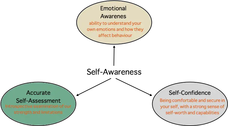  Jordan Peterson Personality Test Transparent Background Self Awareness Leadership Emotional Intelligence Png Jordan Transparent