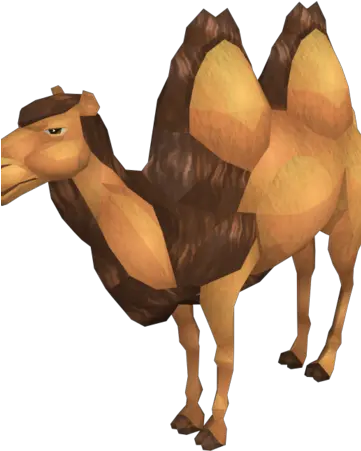  Cart Camel Runescape Wiki Fandom Dromedary Png Camel Png