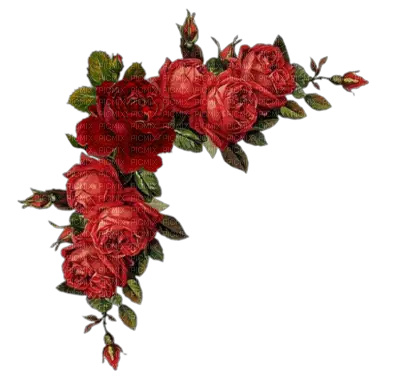  Download Flower Border Png Transparent Red Flowers Png Rose Border Transparent