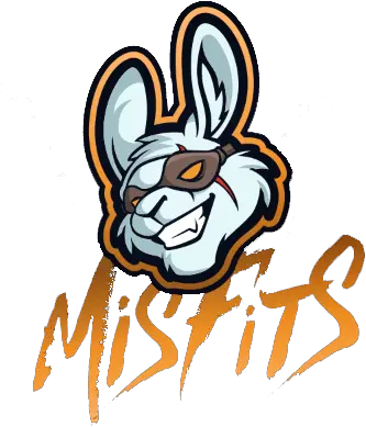  Miami Heat Acquired A Stake In Misfits Misfits Cs Go Team Png Miami Heat Logo Transparent