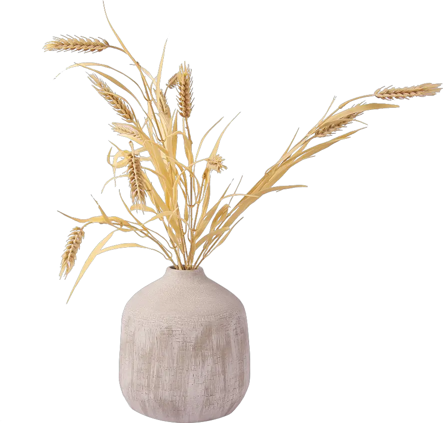  Living Kuwait Your Online Destination For Shopping Vase Png Wheat Png