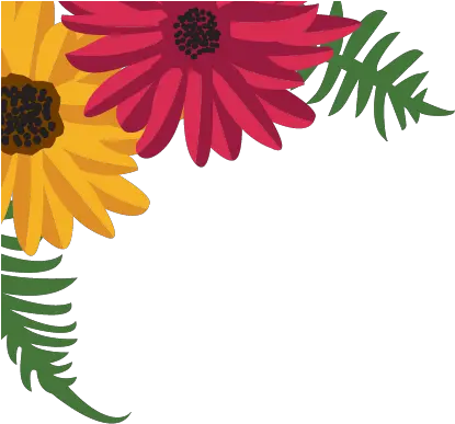  Download Garden Party African Daisy Png Corner Flowers Png