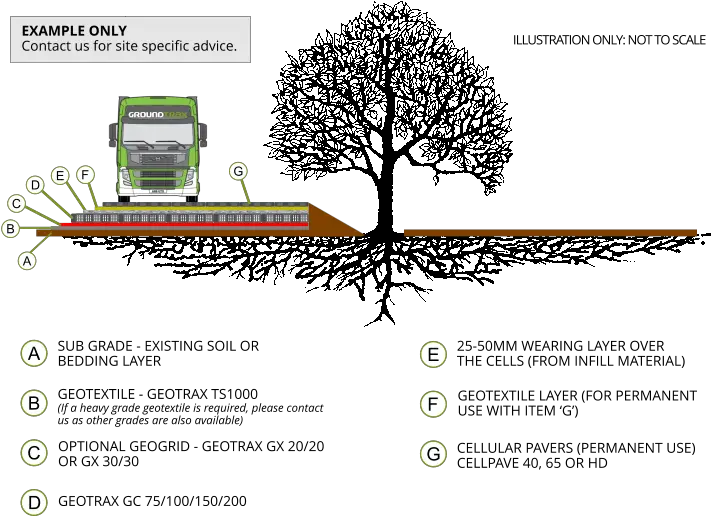  Tree Root Protection U2013 Example Groundtrax Cellular Confinement System Png Tree With Roots Png