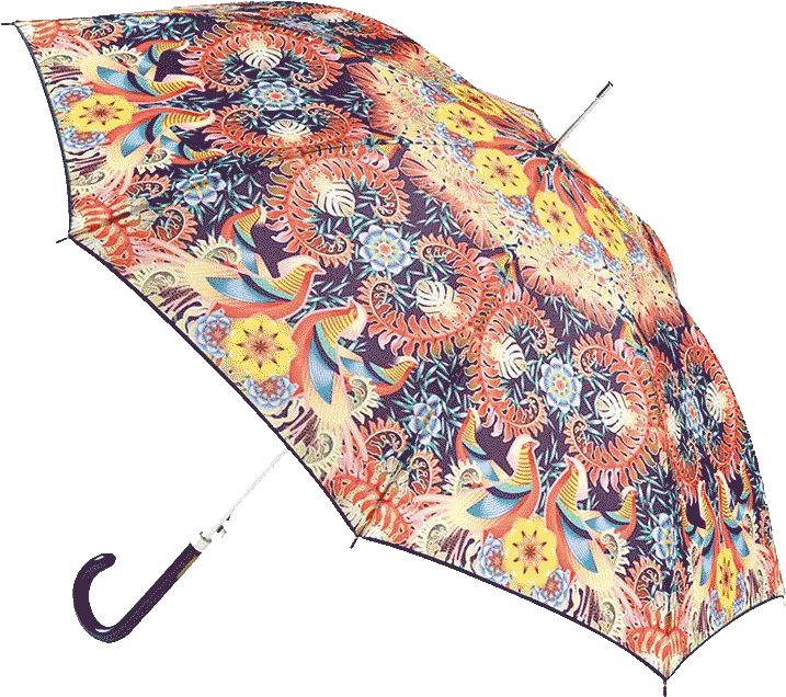  Shop For Umbrellas Umbrella Png Umbrella Transparent Background