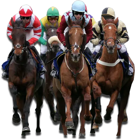  Download Horse Racing Betting Explained Horse Racing Png Race Png