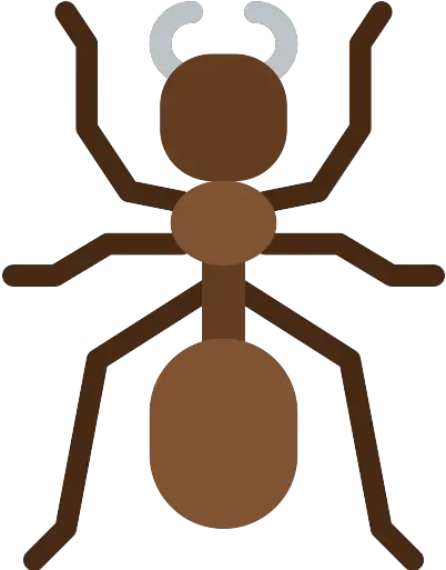  Ant Png Icon Ant Flat Icon Ant Png