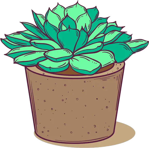  Succulent Clipart Clipartworld Decorative Png Succulent Icon Transparent