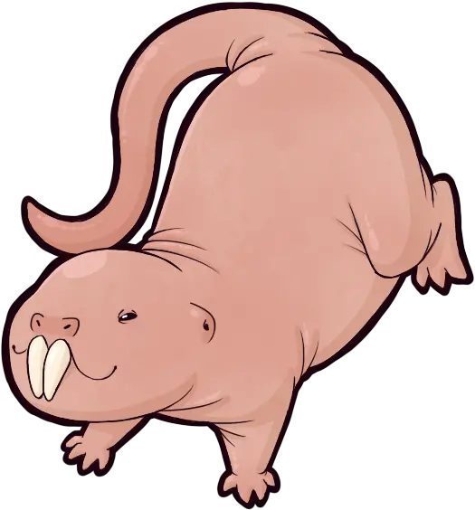  Naked Mole Rats Mole Rat Clip Art Png Rats Png