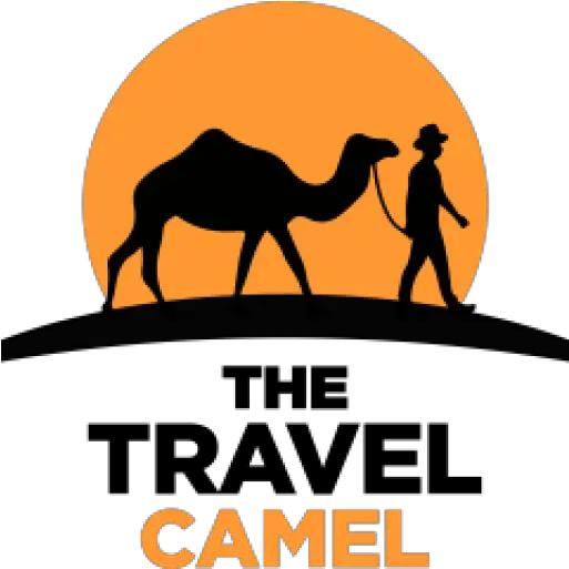  Contact Travel Camel Png Camel Logo