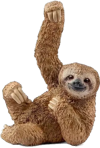  Sloth Png Background