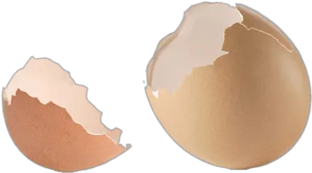  Pieces Of Eggshell Transparent Png Stickpng Egg Shells Transparent Background Peach Transparent Background