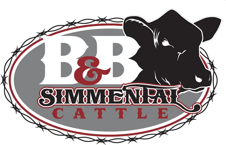  B U0026 Simmental Cattle Bulls For Sale Simmental Cow Clipart Png King Ranch Logos