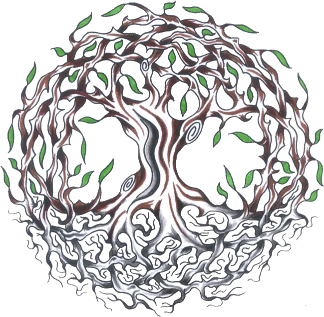  Celtic Tree Of Life Meaning Celtic Tree Of Life Tattoo Png Tree Of Life Transparent