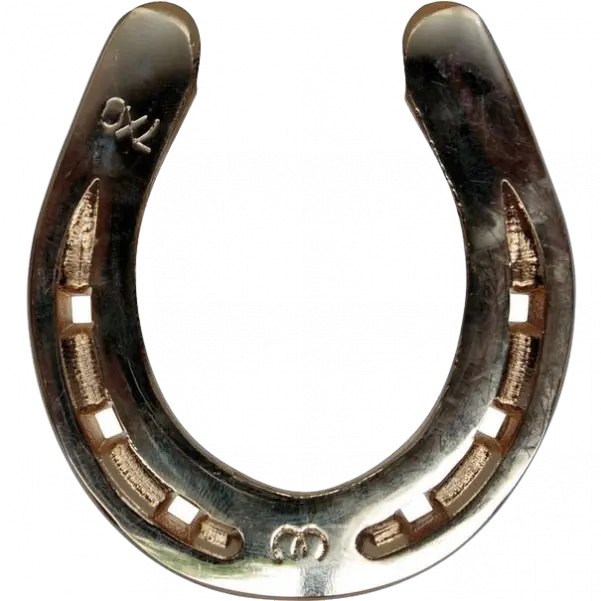  Png Horseshoe Happy Thanksgiving With Horses Horseshoe Transparent