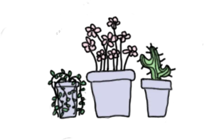  Aesthetic Cute Cactus Drawing Max Installer Aesthetic Cute Plants Transparent Png Tumblr Cactus Png