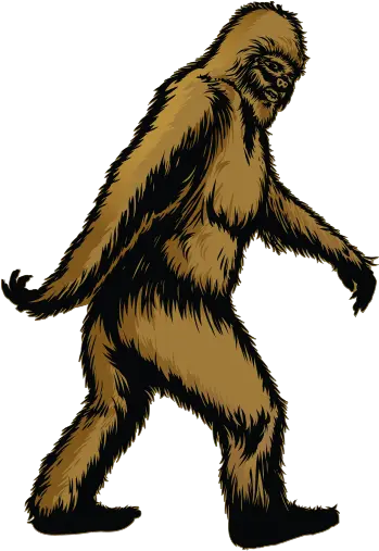  Bigfoot Gift Shop Big Foot Png Bigfoot Png