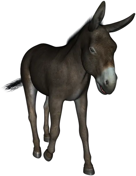  Donkey Freepngtransparentbackgroundimagesfreedownload Burro Jogo Do Bicho Png Donkey Png