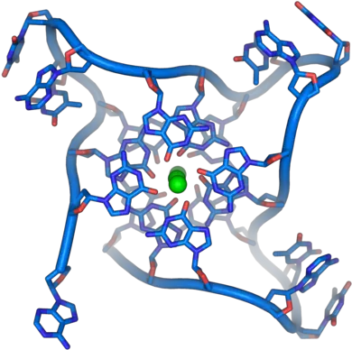  Dna Wikiwand G Dna Png Dna Helix Png