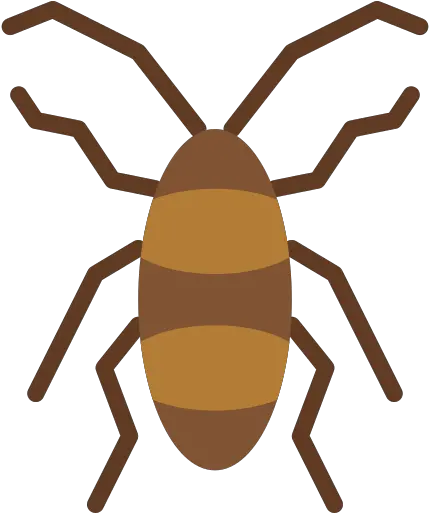  Cockroach Png Icon Icono Cucaracha Png Cockroach Png