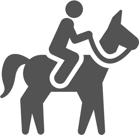  Going Abroad Farm Stay With Horses Chile Inside Horse Riding Icon Png Horse Riding Icon