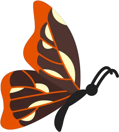  Butterfly Side View Icon In Color Style Girly Png Monarch Icon