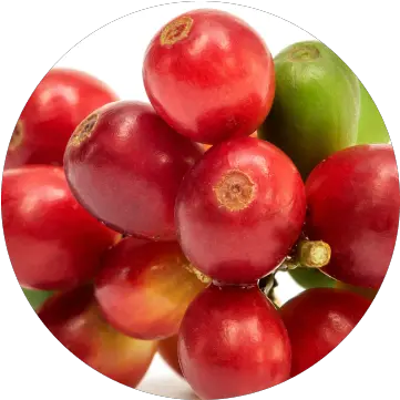  Ingredients Superfood Png Cranberry Icon