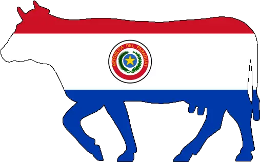  Paraguay Language Png Cow Icon