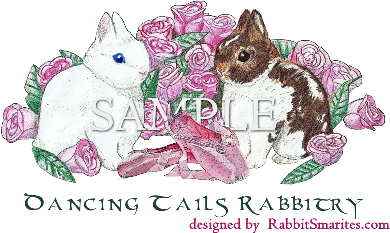  Rabbit Pedigrees The Nature Trail Clipart Netherland Dwarf Png Rabbit Logo