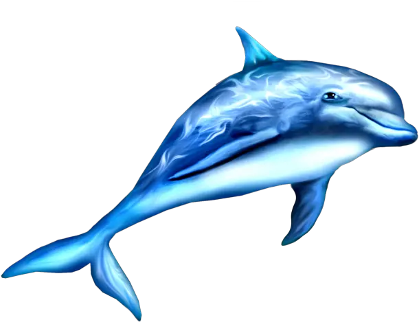  Transparent Png Dauphin Png Dolphin Png