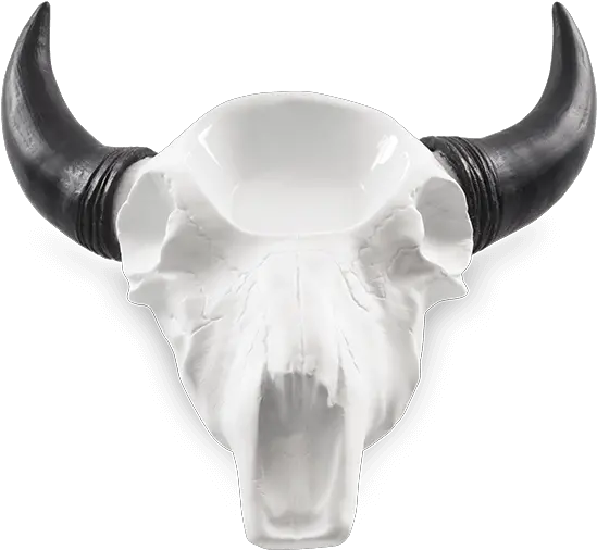  Scentsy Cow Skull With Horns Warmer Scentsy Bull Skull Warmer Png Cow Skull Png