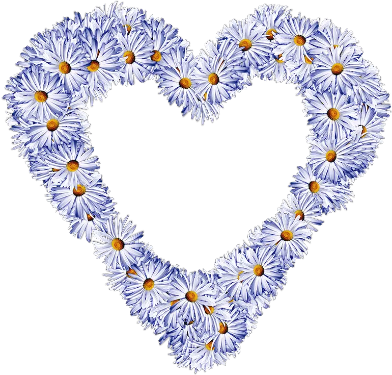  Heart Wreath Png Transparent Without Background Image Free Heart Flower Daisies Flower Wreath Png